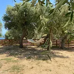 펜션 Dream House Alikí