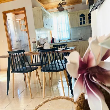 Dream House Prázdninový dům Alikí