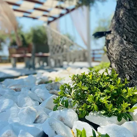 Dream House Αλυκή