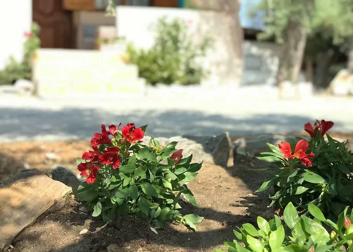 Dream House Σπίτι διακοπών